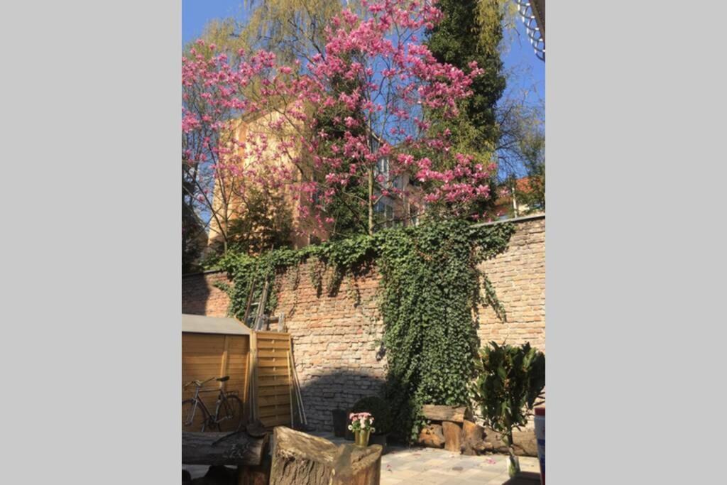 Beautiful Backyard Remise Apartamento Berlim Exterior foto